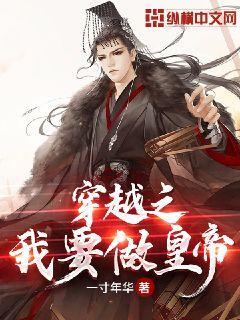 真三国无双8