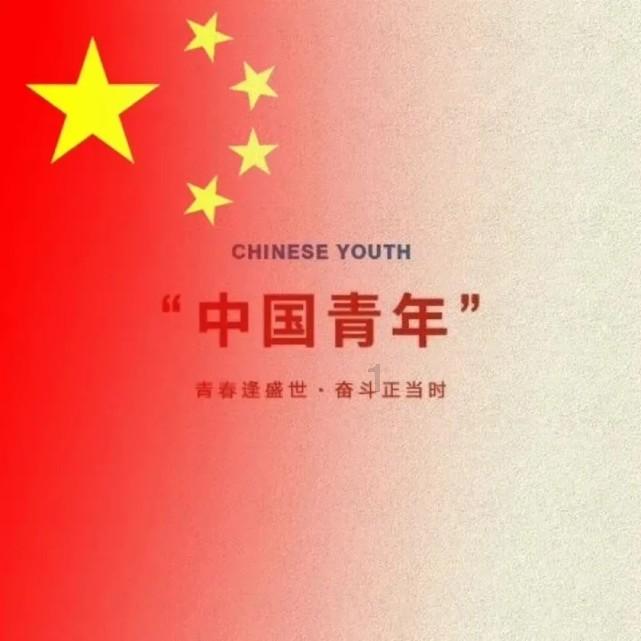 大理一公园养猫替小熊猫“顶岗”？园方澄清：正主藏树上了，猫负责抓老鼠