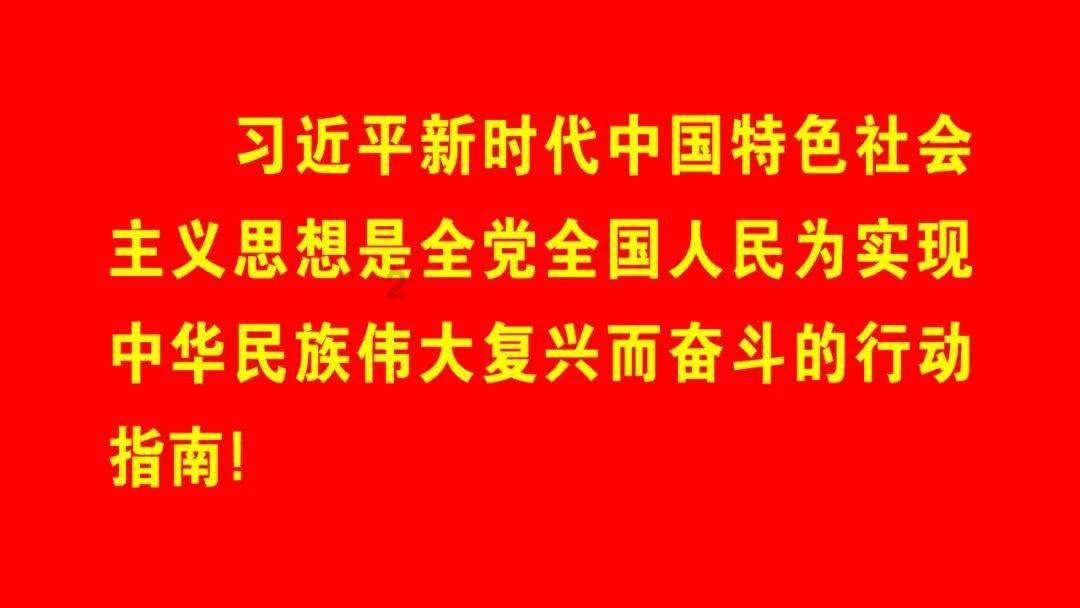 苏菲亚和安伯的休闲装