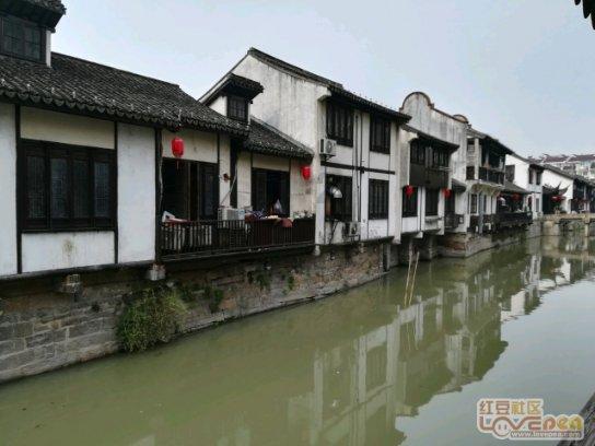 救援萌老虎