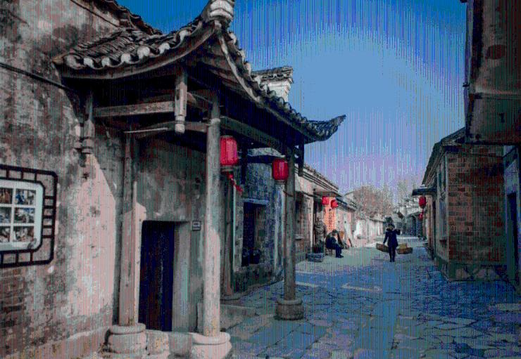 僵尸女友爱爬树